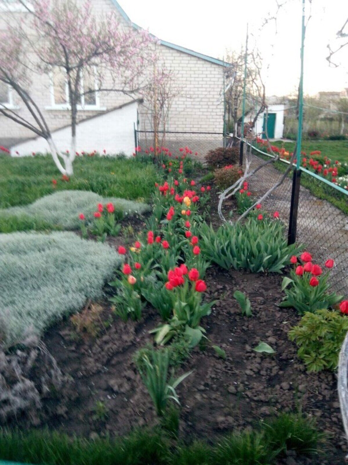 одноэтажный дом с верандой, 89.6 кв. м, кирпич. Продажа в Ружине район Ружин фото 1