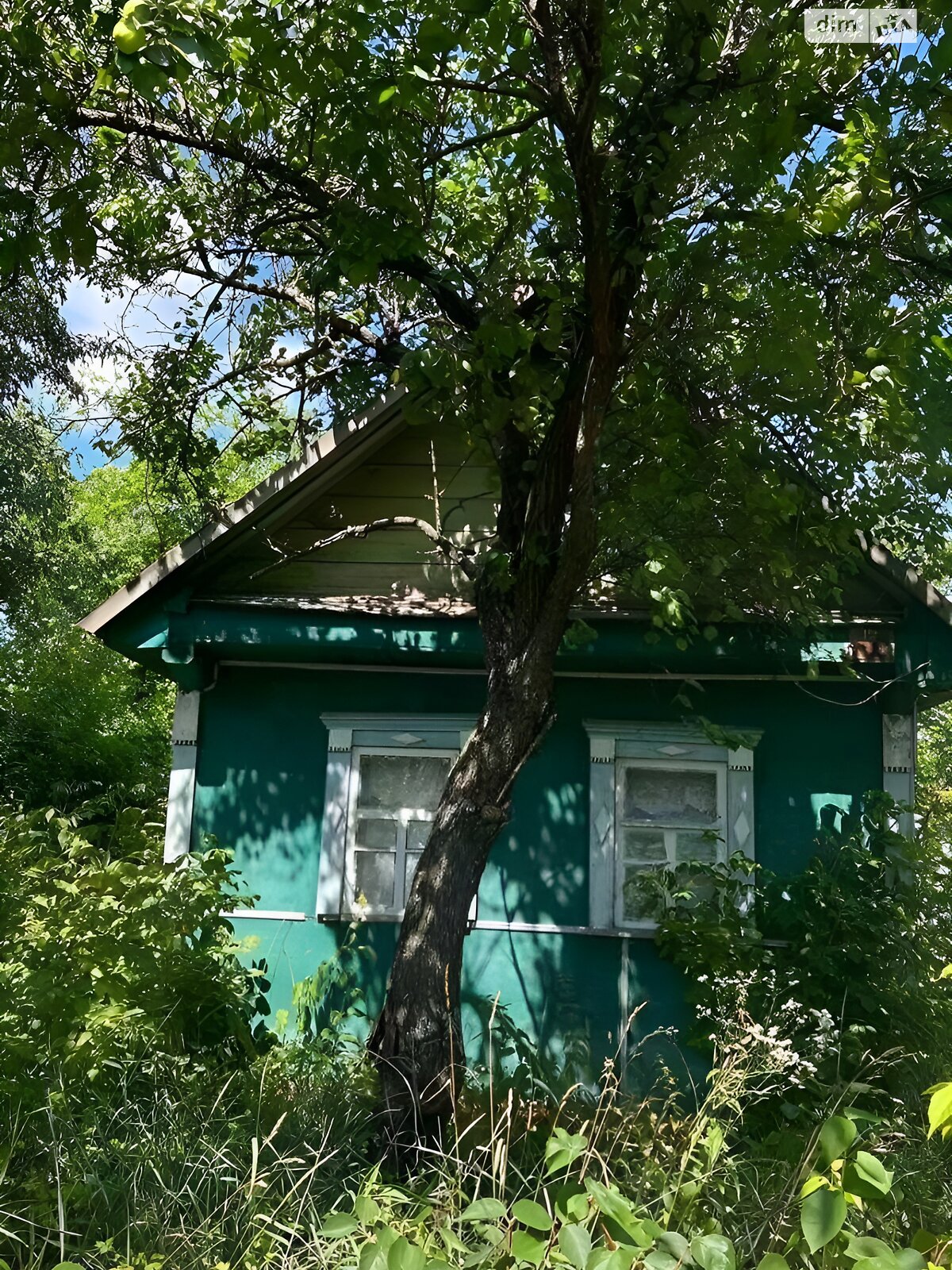 одноповерховий будинок з верандою, 64 кв. м, зруб. Продаж у Русаках фото 1 одноповерховий будинок з верандою, 64 кв. м, зруб. Продаж у Русаках фото 1