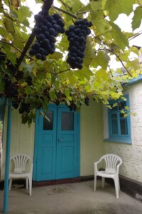 одноповерховий будинок з гаражем, 73 кв. м, дерево та цегла. Продаж у Русанівці фото 2