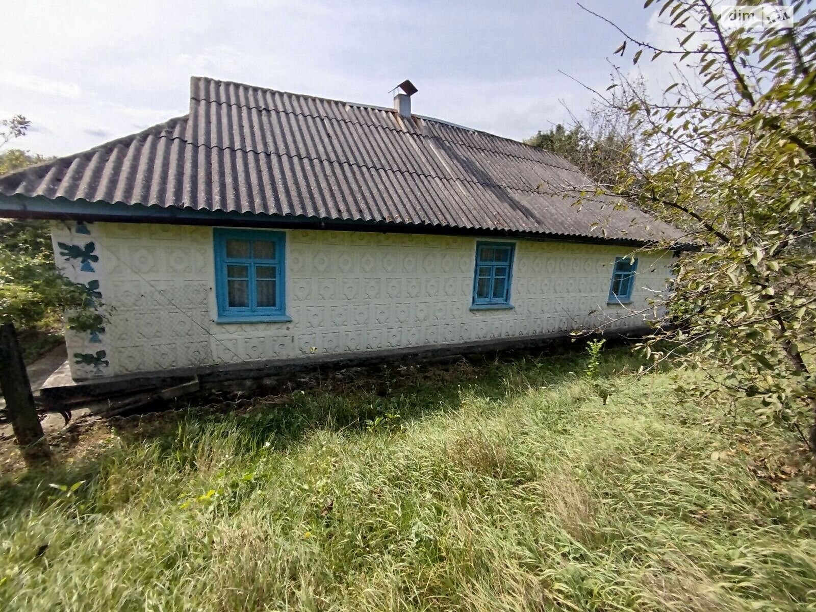 одноповерховий будинок з гаражем, 73 кв. м, дерево та цегла. Продаж у Русанівці фото 1 одноповерховий будинок з гаражем, 73 кв. м, дерево та цегла. Продаж у Русанівці фото 1