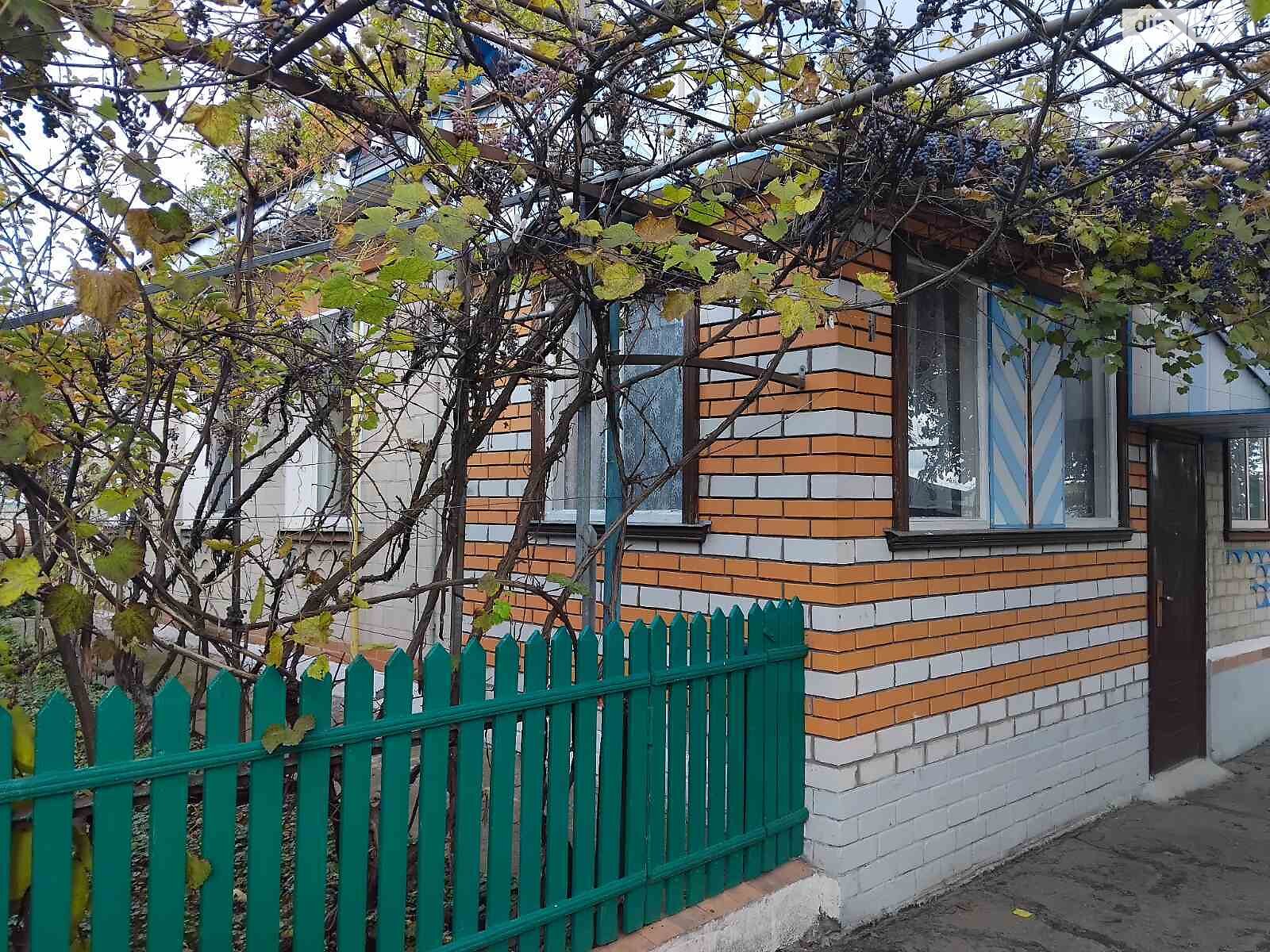 одноповерховий будинок з гаражем, 102 кв. м, цегла. Продаж у Руській Поляні фото 1