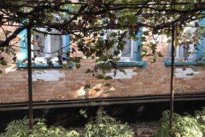одноэтажный дом с верандой, 85 кв. м, кирпич саманный. Продажа в Русской Поляне фото 2