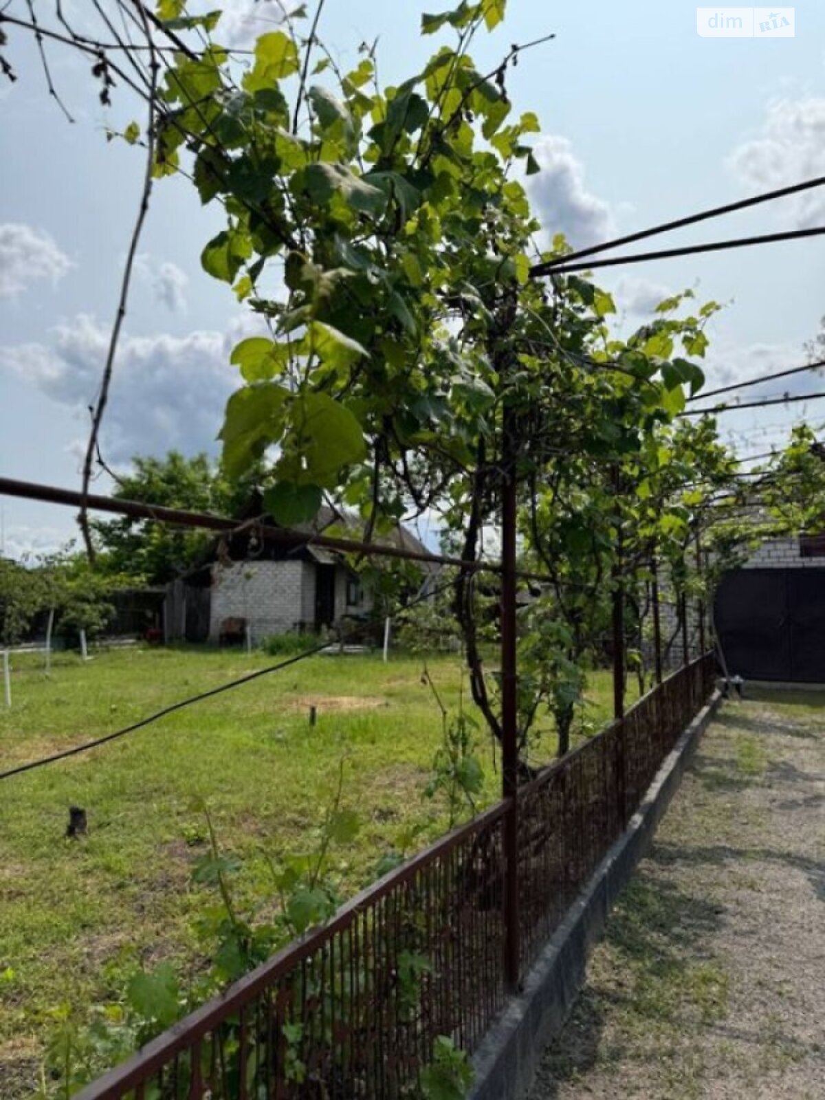 одноповерховий будинок з гаражем, 116 кв. м, цегла. Продаж у Руській Поляні фото 1 одноповерховий будинок з гаражем, 116 кв. м, цегла. Продаж у Руській Поляні фото 1