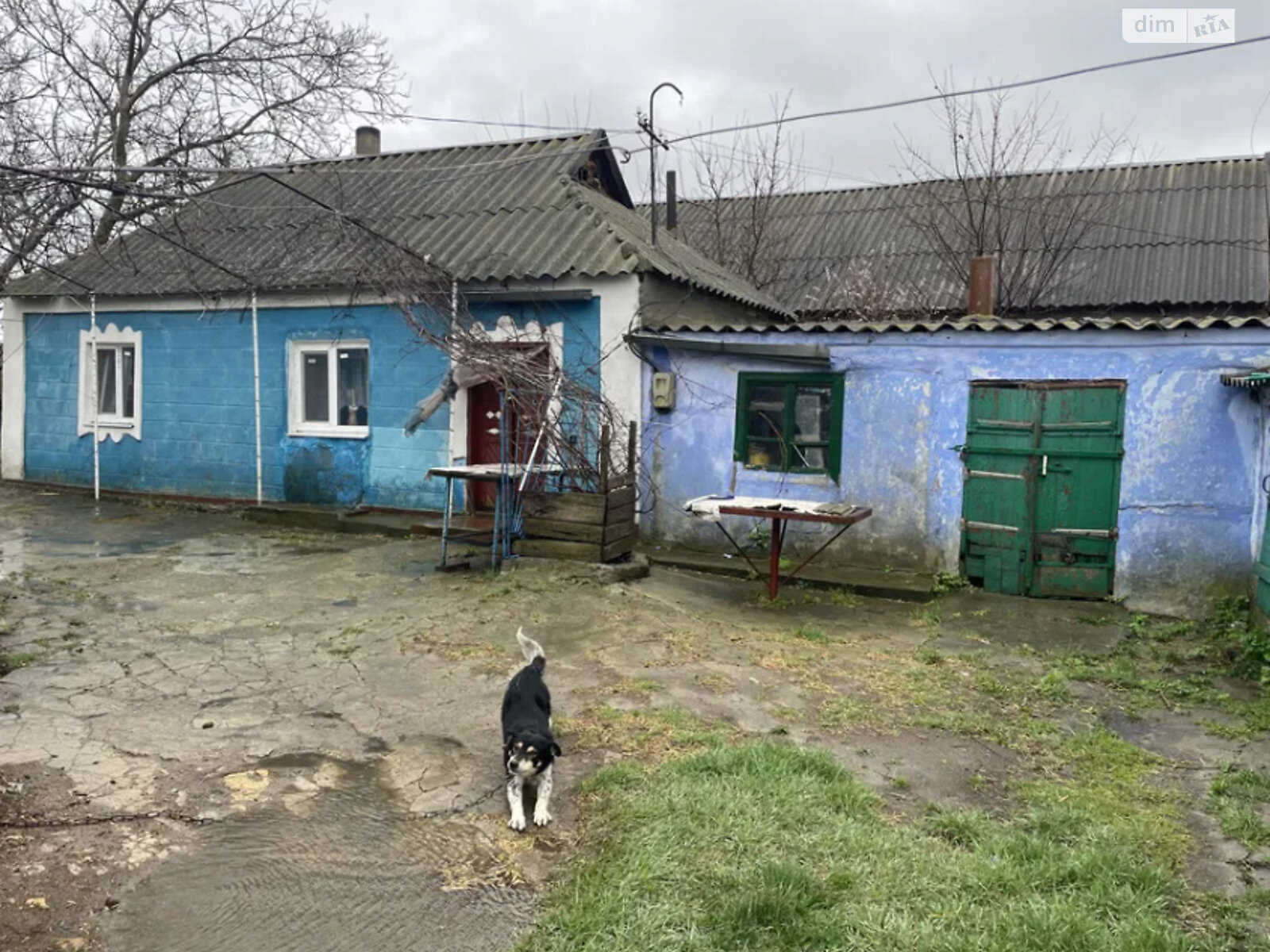 одноэтажный дом, 302 кв. м, кирпич. Продажа в Русской Слободке фото 1 одноэтажный дом, 302 кв. м, кирпич. Продажа в Русской Слободке фото 1