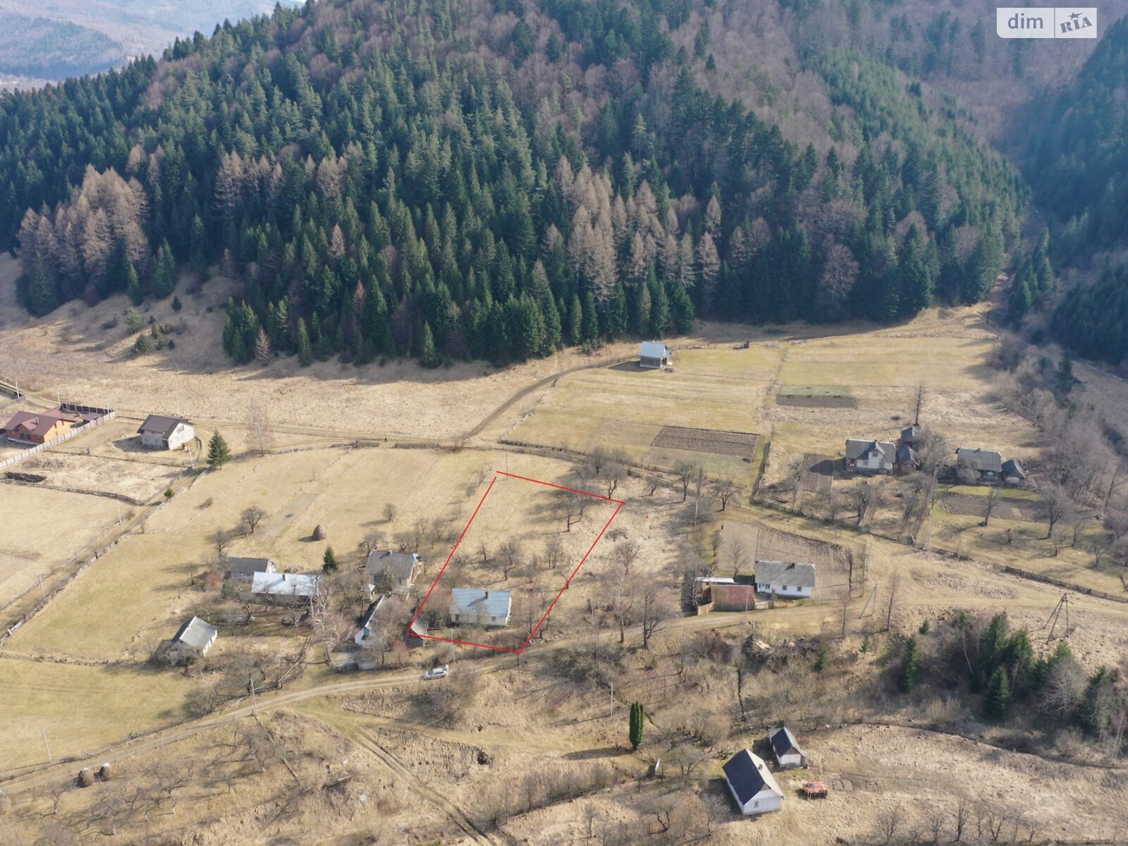 одноповерховий будинок з опаленням, 60 кв. м, дерево и кирпич. Продаж у Рибнику фото 1