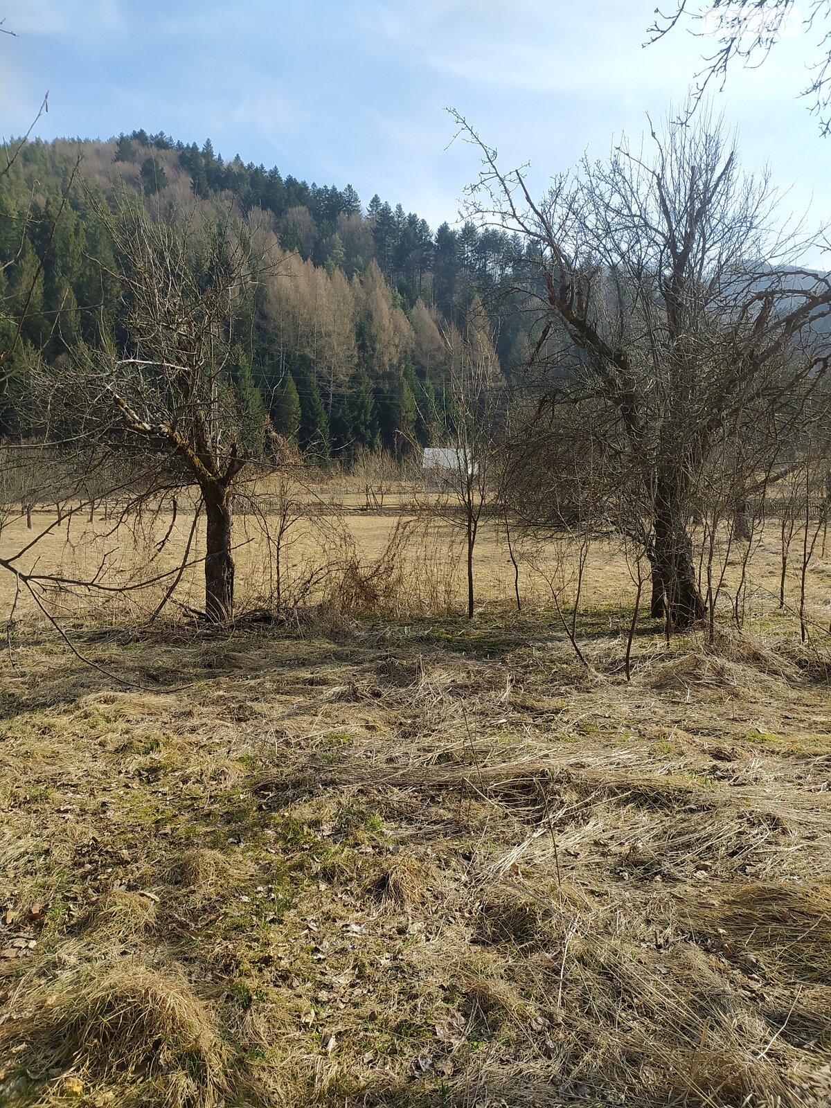 одноповерховий будинок з опаленням, 60 кв. м, дерево и кирпич. Продаж у Рибнику фото 1