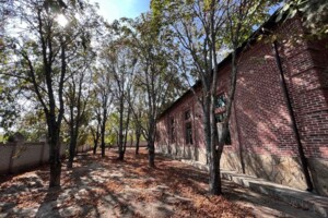 одноэтажный дом, 556 кв. м, кирпич. Продажа в Салганах фото 2