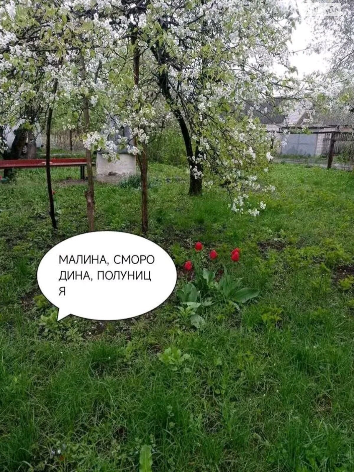 одноповерховий будинок з гаражем, 114.8 кв. м, цегла. Продаж у Саливінці фото 1 одноповерховий будинок з гаражем, 114.8 кв. м, цегла. Продаж у Саливінці фото 1