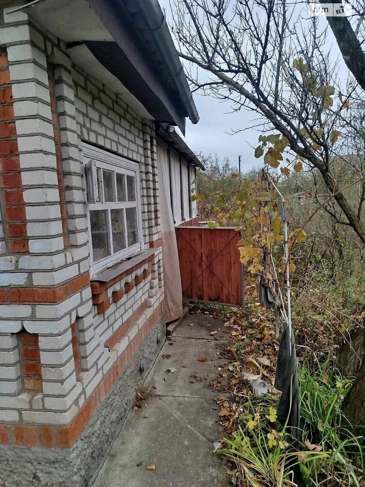 одноповерховий будинок, 44.2 кв. м, цегла. Продаж у Сальнику фото 1