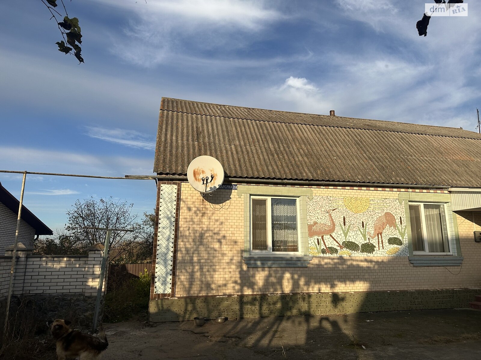 одноповерховий будинок з гаражем, 90 кв. м, цегла. Продаж у Сальнику фото 1 одноповерховий будинок з гаражем, 90 кв. м, цегла. Продаж у Сальнику фото 1