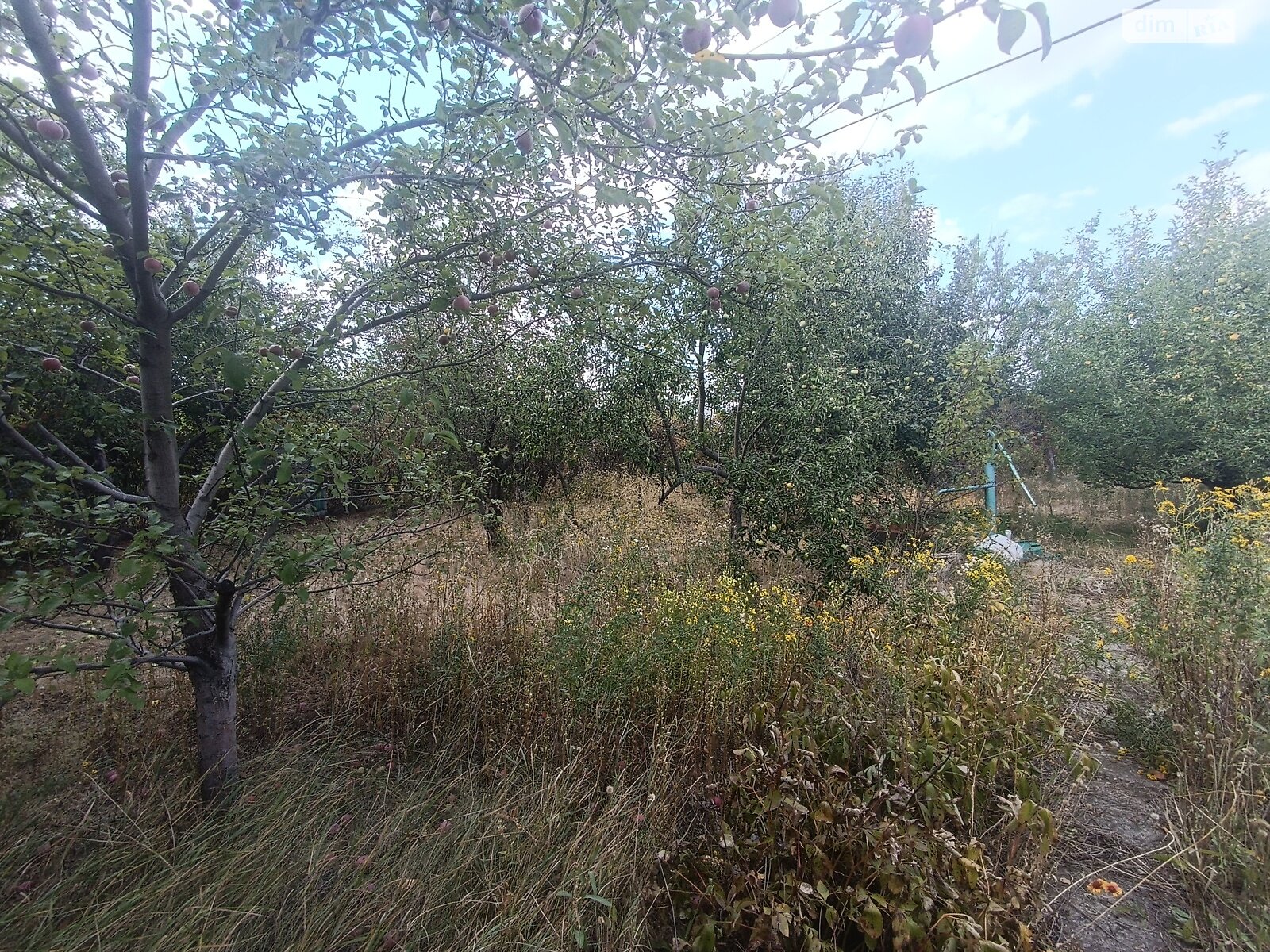 одноэтажный дом, 30 кв. м, кирпич. Продажа в Самаре район Новомосковск фото 1 одноэтажный дом, 30 кв. м, кирпич. Продажа в Самаре район Новомосковск фото 1