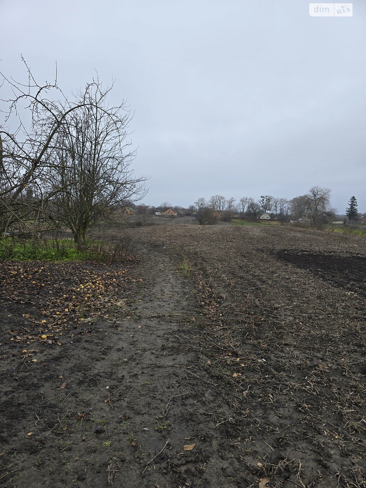 одноэтажный дом с гаражом, 49.2 кв. м, кирпич. Продажа в Самгородке фото 1