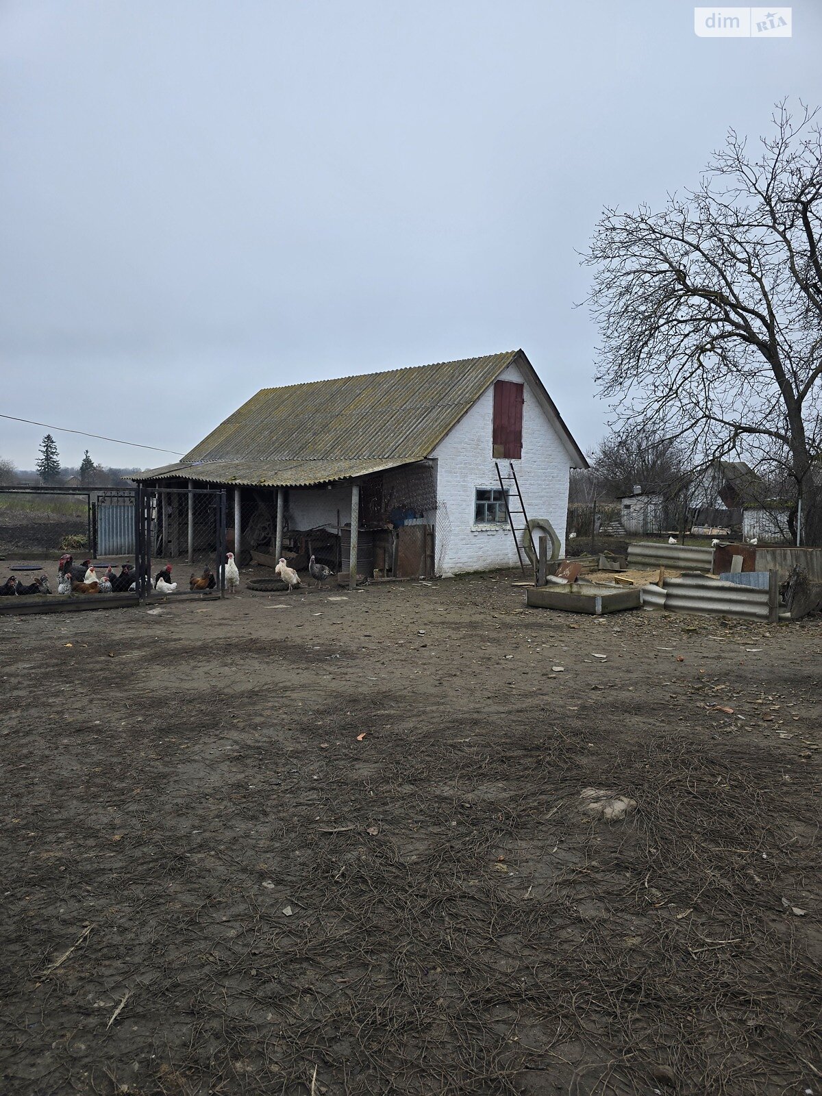 одноэтажный дом с гаражом, 49.2 кв. м, кирпич. Продажа в Самгородке фото 1