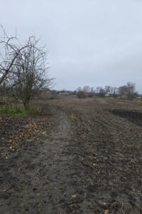 одноэтажный дом с гаражом, 49.2 кв. м, кирпич. Продажа в Самгородке фото 2