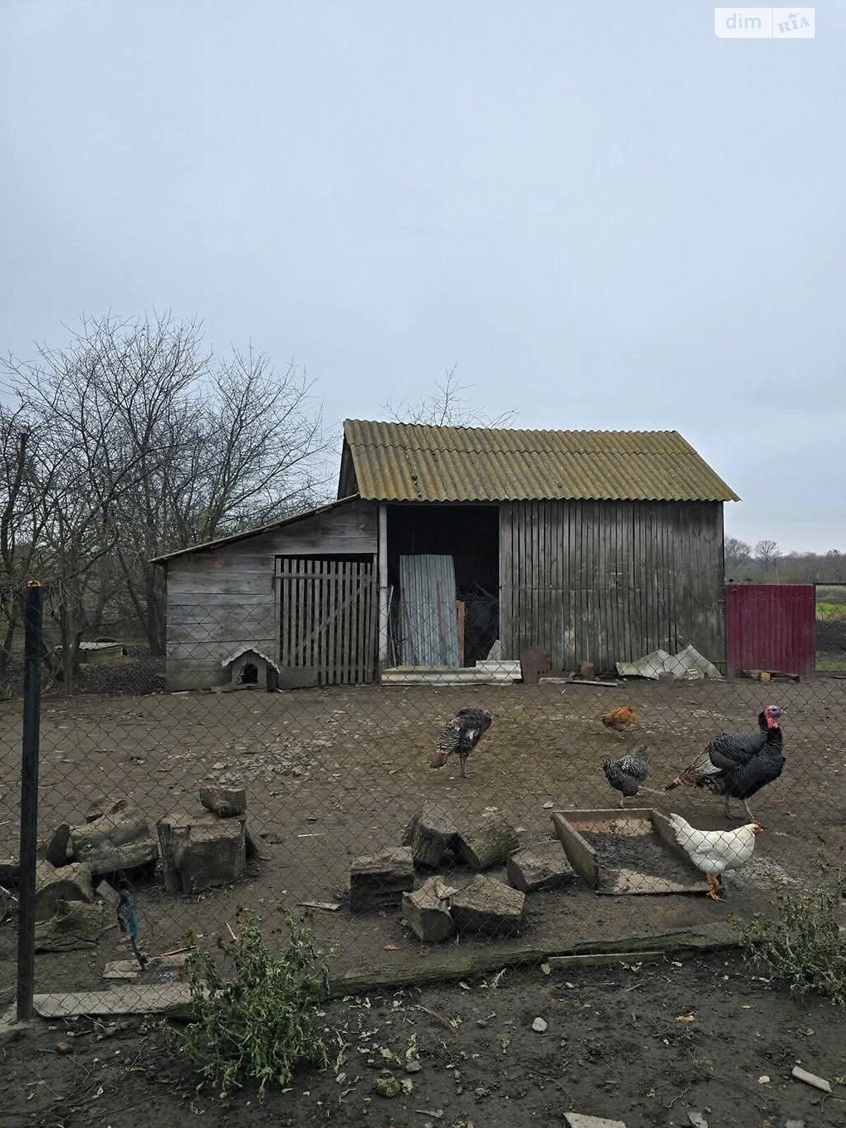 одноповерховий будинок з гаражем, 49.2 кв. м, цегла. Продаж у Самгородку фото 1 одноповерховий будинок з гаражем, 49.2 кв. м, цегла. Продаж у Самгородку фото 1