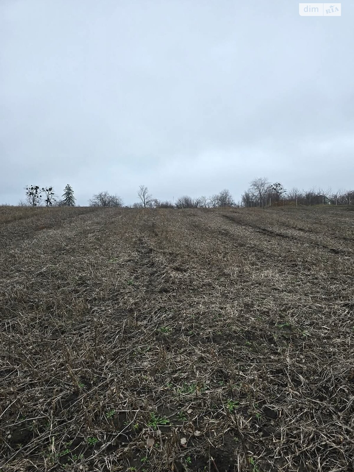 одноповерховий будинок з гаражем, 49.2 кв. м, цегла. Продаж у Самгородку фото 1 одноповерховий будинок з гаражем, 49.2 кв. м, цегла. Продаж у Самгородку фото 1