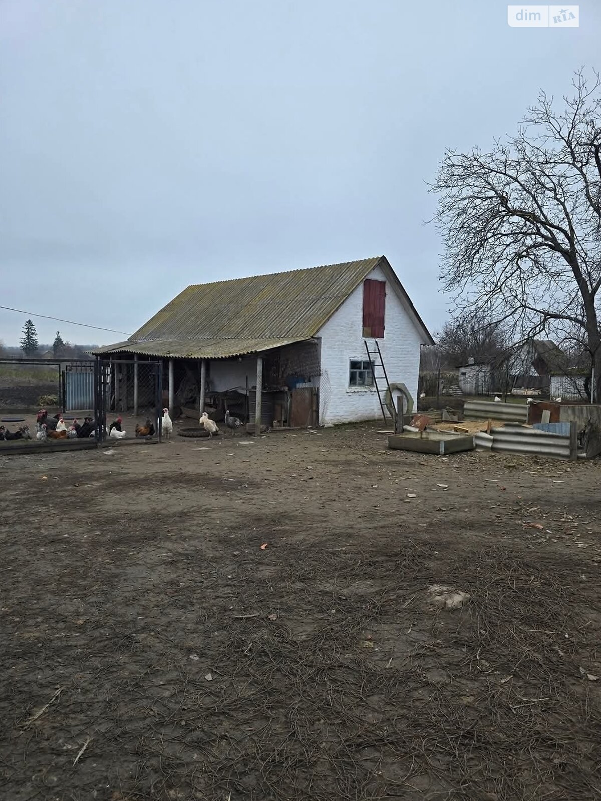 одноповерховий будинок з гаражем, 49.2 кв. м, цегла. Продаж у Самгородку фото 1 одноповерховий будинок з гаражем, 49.2 кв. м, цегла. Продаж у Самгородку фото 1