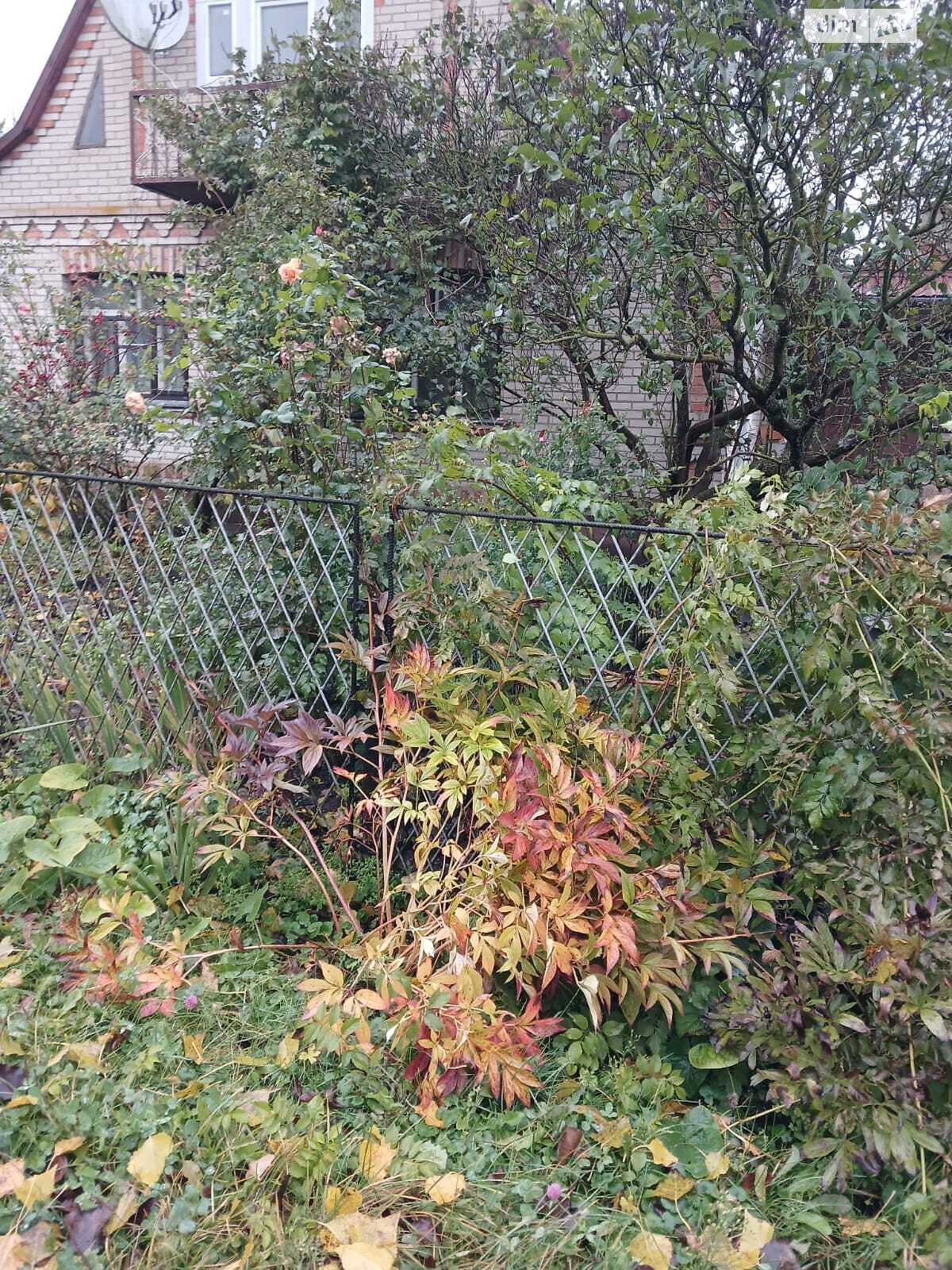 одноповерховий будинок з верандою, 97.3 кв. м, цегла. Продаж у Самгородку фото 1