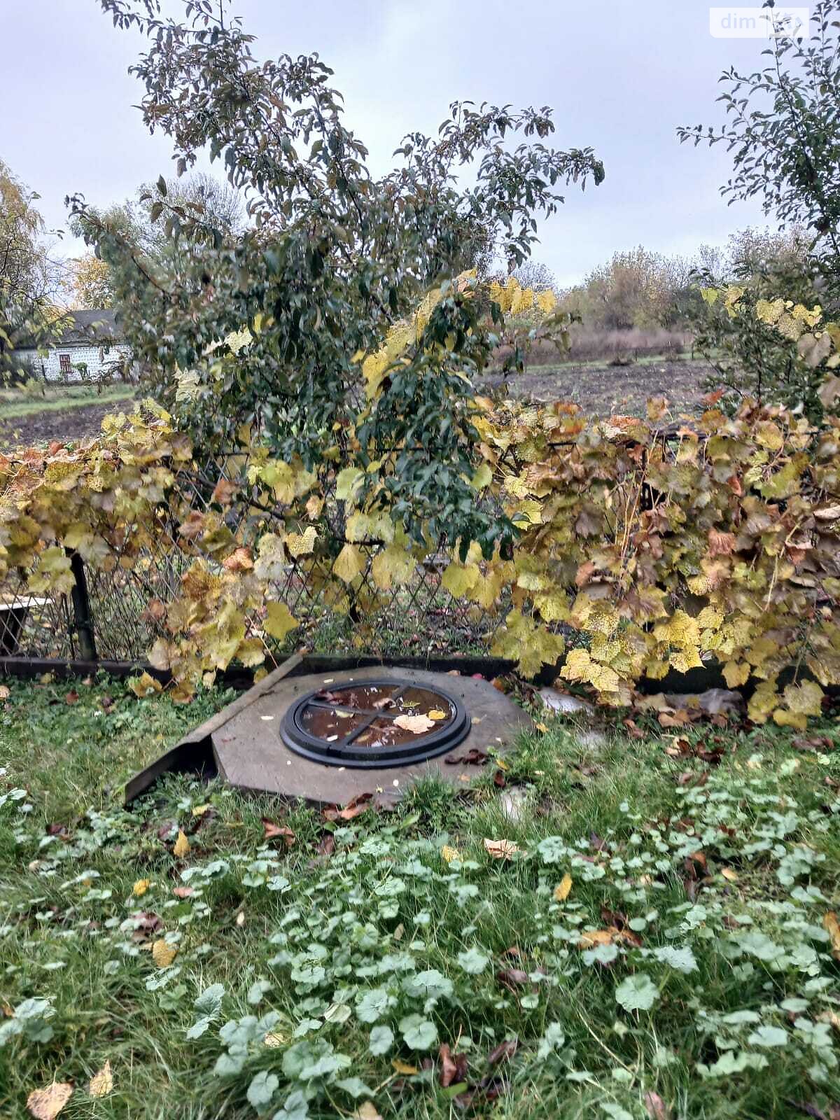 одноповерховий будинок з верандою, 97.3 кв. м, цегла. Продаж у Самгородку фото 1