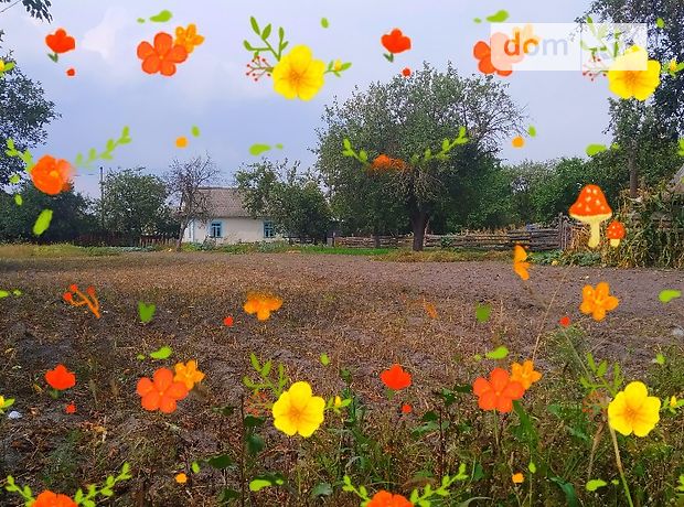 одноэтажный дом с садом, 76 кв. м, брус. Продажа в Степани (Ровенская обл.) фото 1 одноэтажный дом с садом, 76 кв. м, брус. Продажа в Степани (Ровенская обл.) фото 1