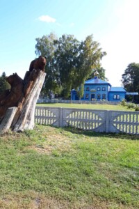 одноповерховий будинок з верандою, 74.1 кв. м, цегла. Продаж в Савіні фото 2