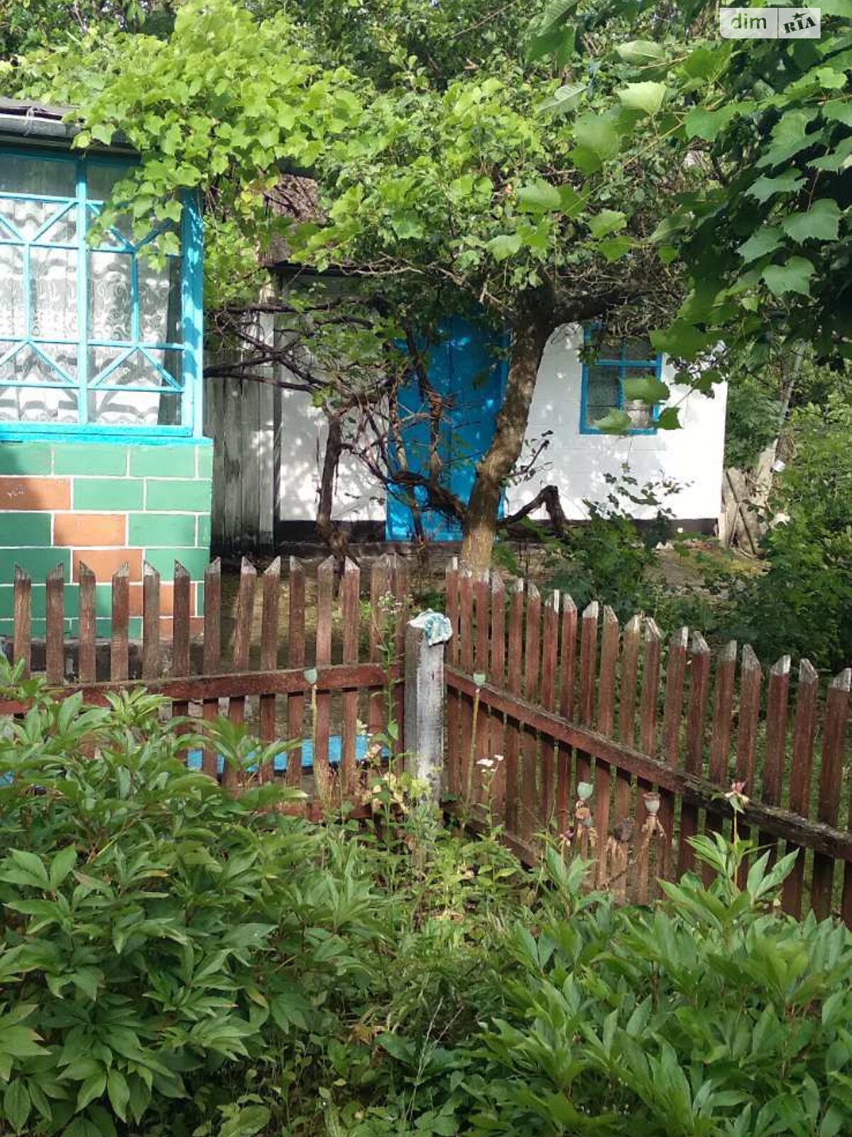 одноповерховий будинок з верандою, 61.7 кв. м, глинобитний. Продаж у Савинцях фото 1