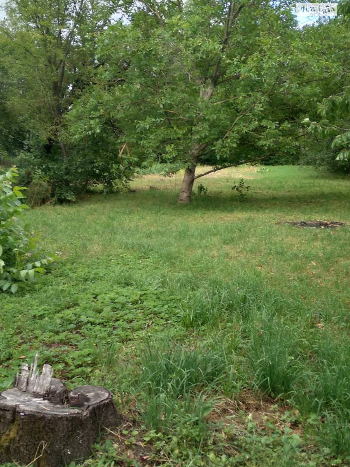 одноповерховий будинок з верандою, 61.7 кв. м, глинобитний. Продаж у Савинцях фото 1