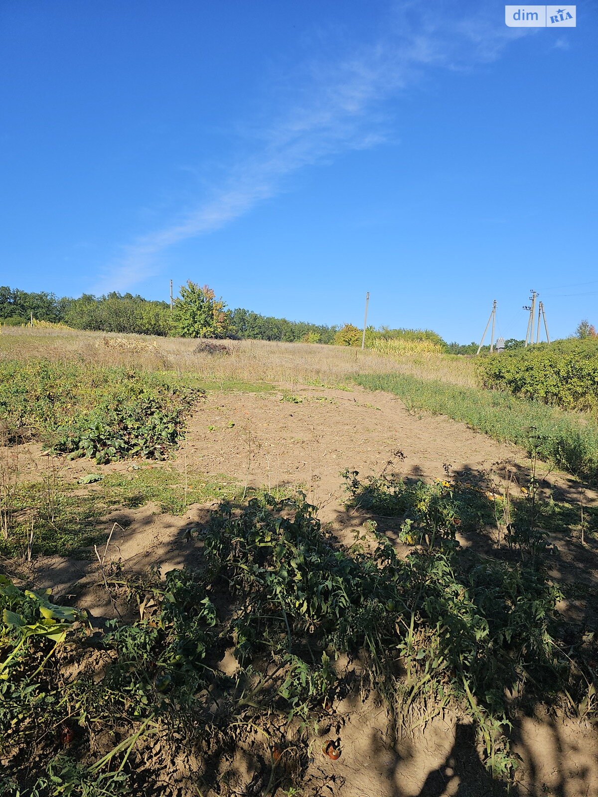 одноповерховий будинок з верандою, 39.2 кв. м, цегла. Продаж у Сазоно-Баланівці фото 1