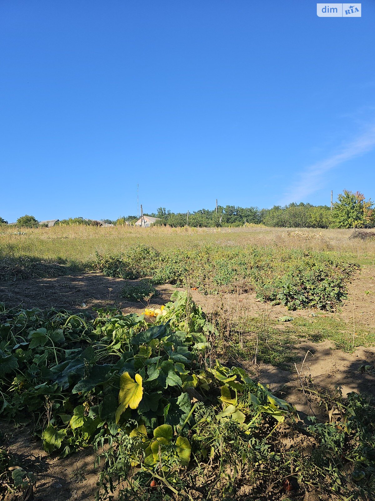 одноповерховий будинок з верандою, 39.2 кв. м, цегла. Продаж у Сазоно-Баланівці фото 1