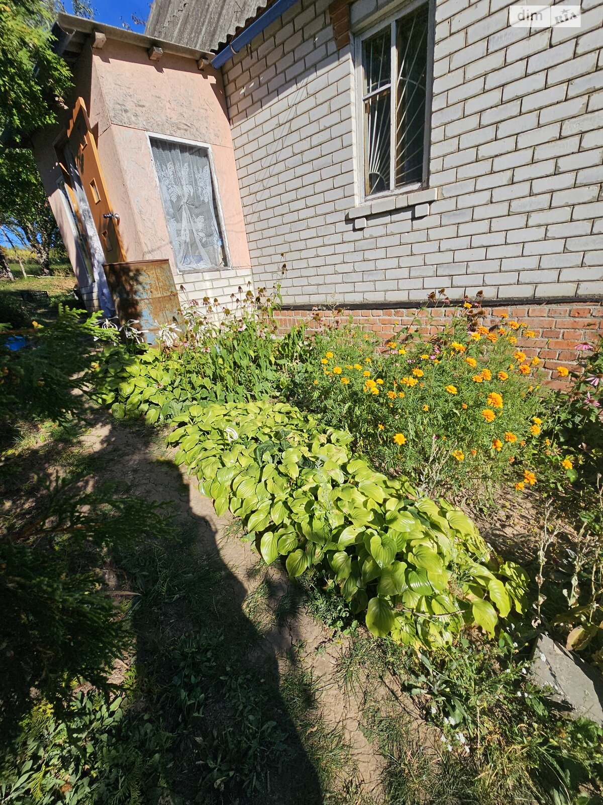 одноповерховий будинок з верандою, 39.2 кв. м, цегла. Продаж у Сазоно-Баланівці фото 1