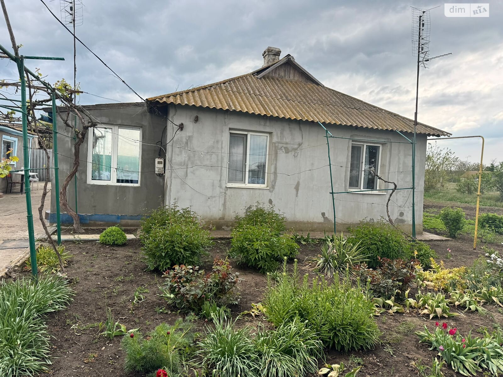 одноповерховий будинок з опаленням, 100 кв. м, цегла. Продаж у Щасливе фото 1 одноповерховий будинок з опаленням, 100 кв. м, цегла. Продаж у Щасливе фото 1