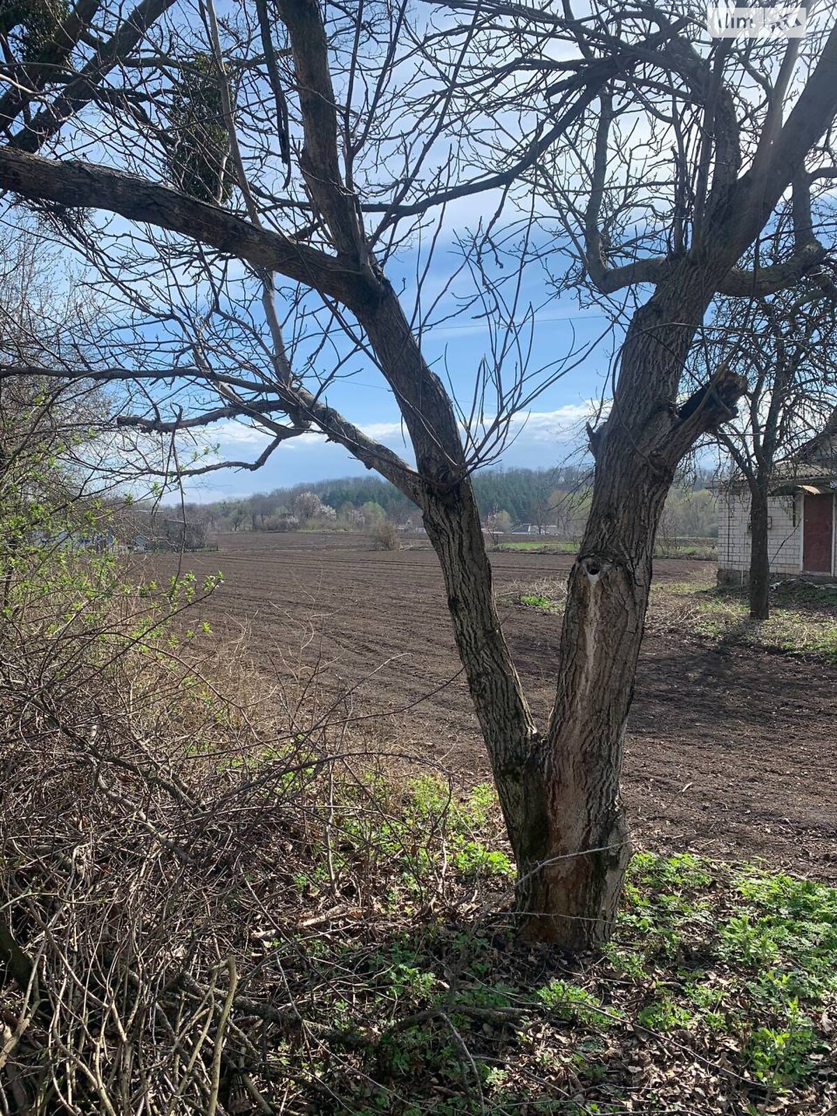 одноповерховий будинок з гаражем, 95 кв. м, цегла. Продаж у Щербашинці фото 1 одноповерховий будинок з гаражем, 95 кв. м, цегла. Продаж у Щербашинці фото 1