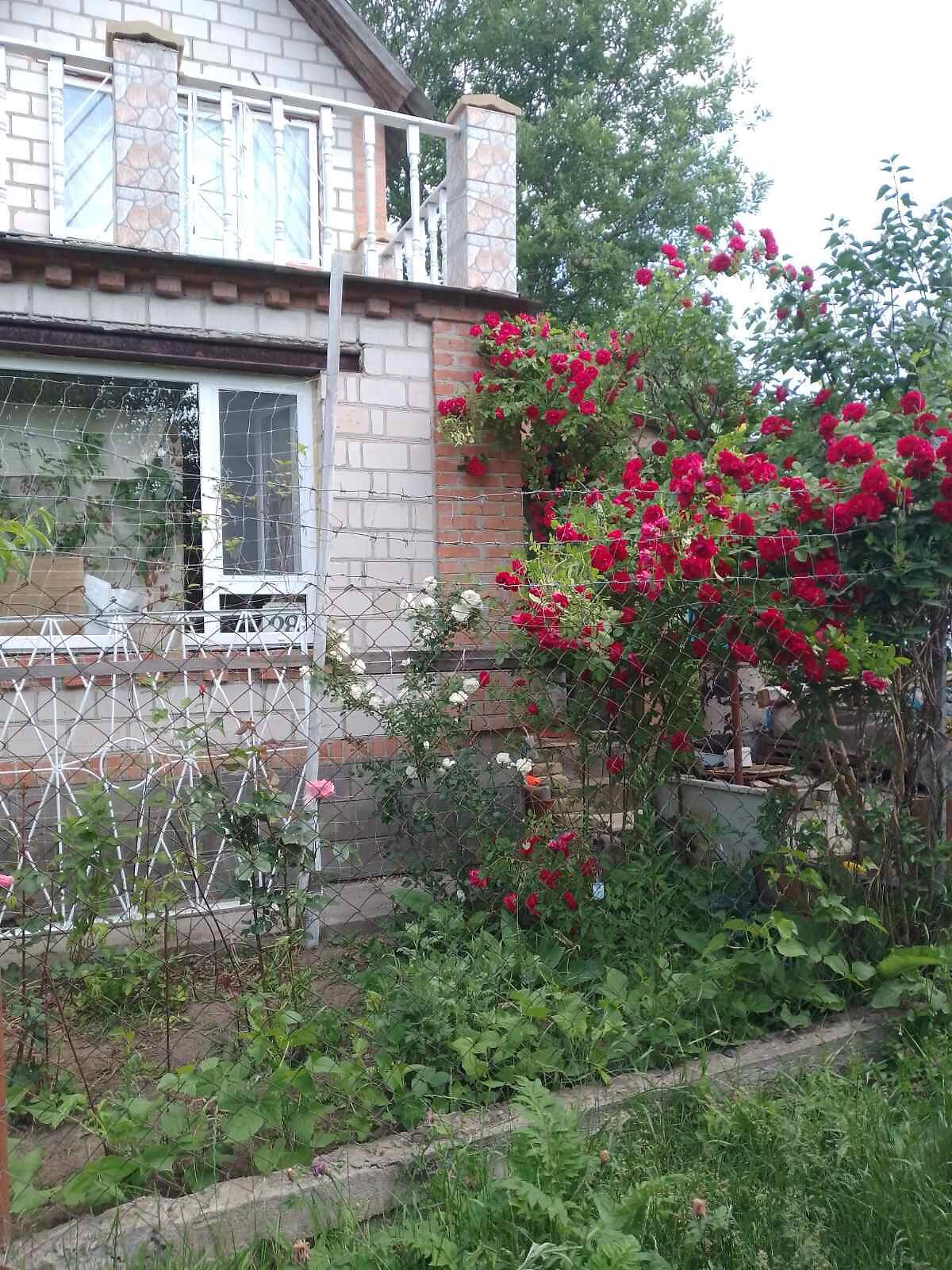 двоповерховий будинок, 31 кв. м, кирпич. Продаж у Щітках фото 1