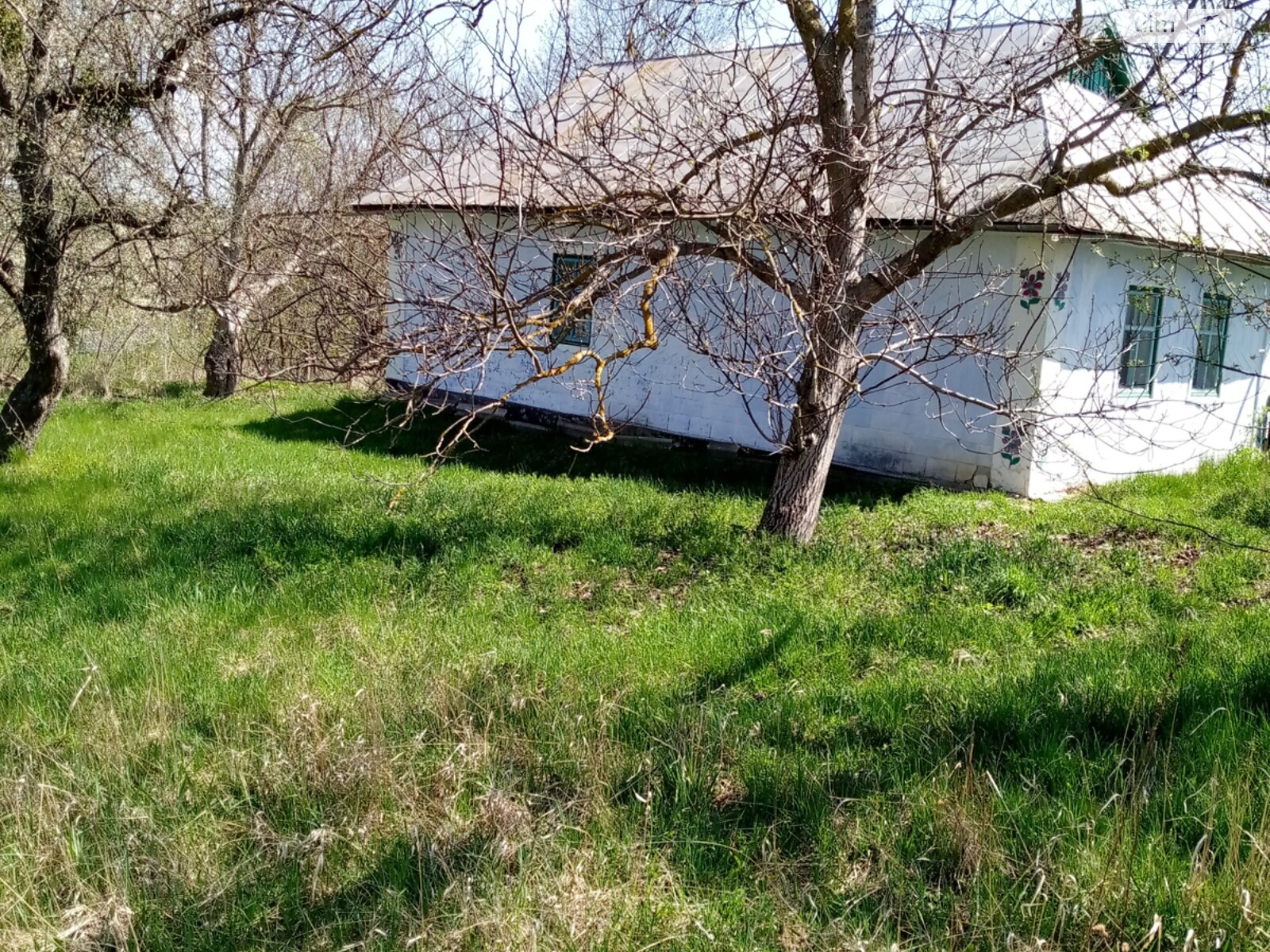 одноэтажный дом, 65.7 кв. м, глинобитный. Продажа в Щучинцах фото 1