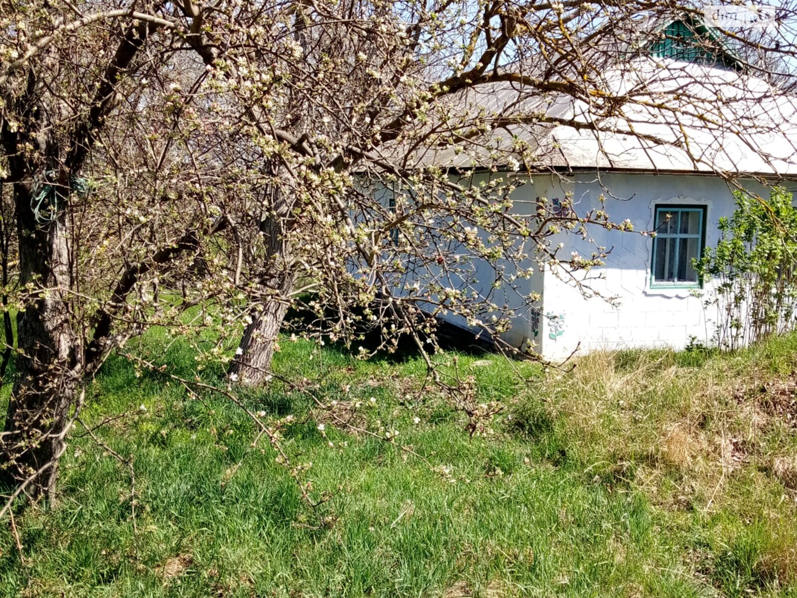 одноэтажный дом, 65.7 кв. м, глинобитный. Продажа в Щучинцах фото 1