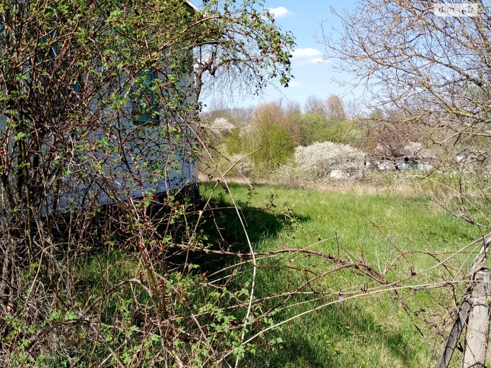 одноэтажный дом, 65.7 кв. м, глинобитный. Продажа в Щучинцах фото 1