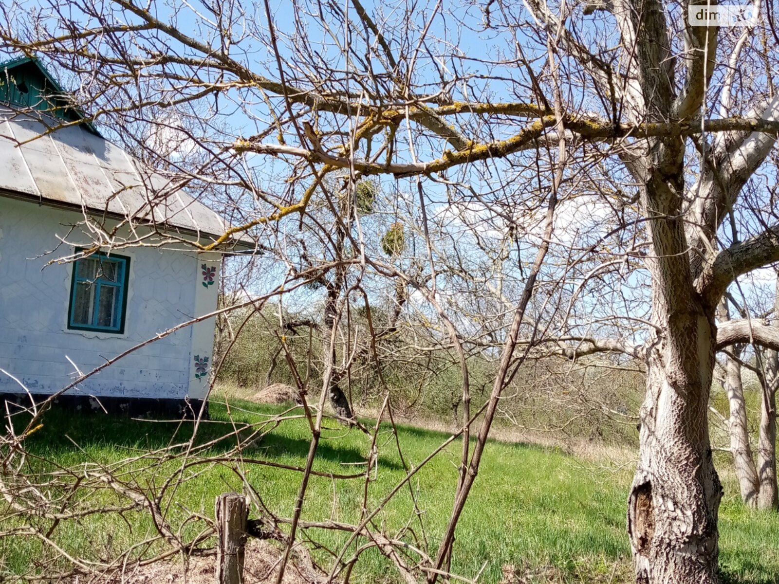 одноэтажный дом, 65.7 кв. м, глинобитный. Продажа в Щучинцах фото 1