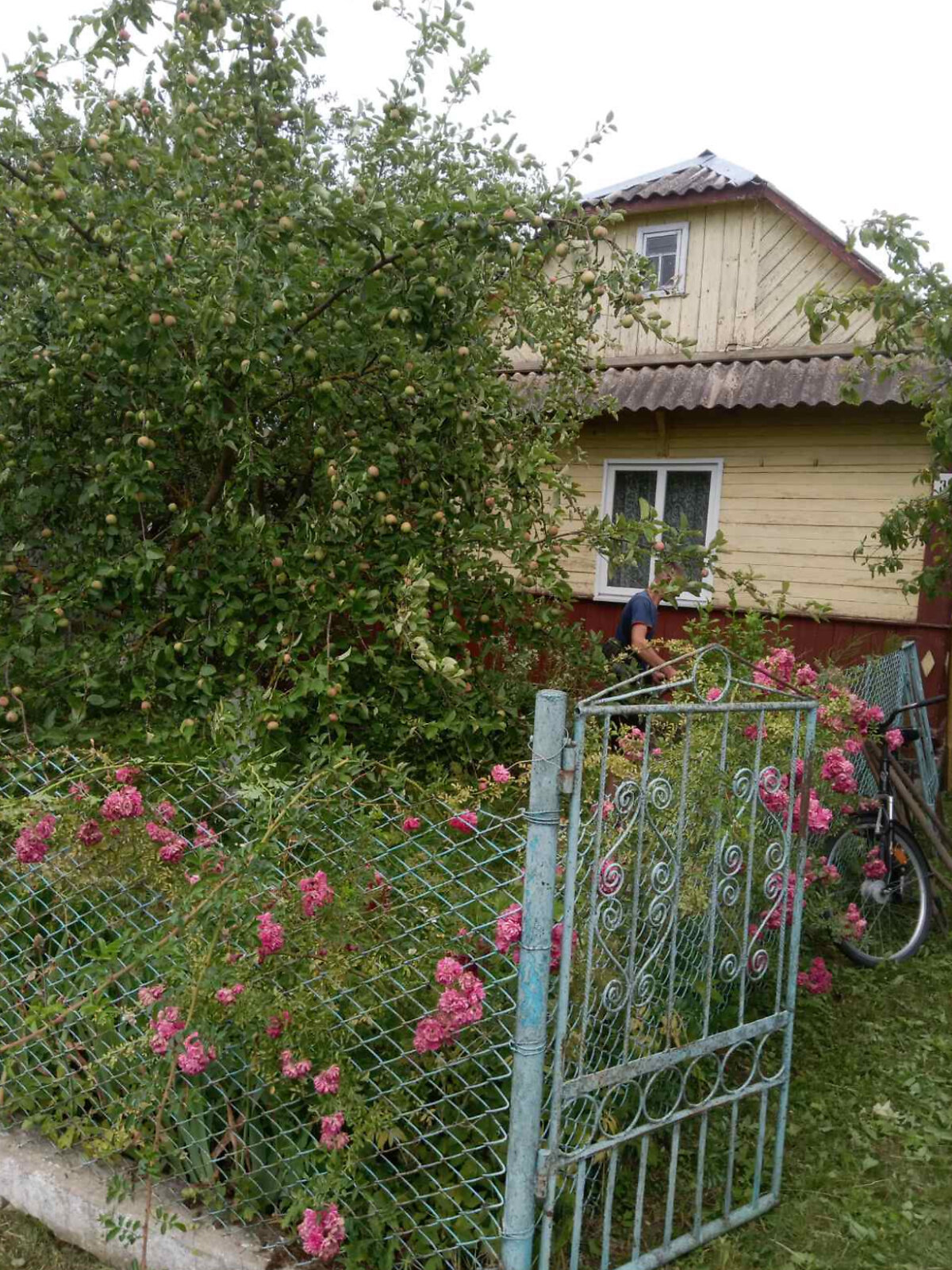 одноповерховий будинок з опаленням, 47.1 кв. м, дерево та цегла. Продаж у Секуні фото 1 одноповерховий будинок з опаленням, 47.1 кв. м, дерево та цегла. Продаж у Секуні фото 1