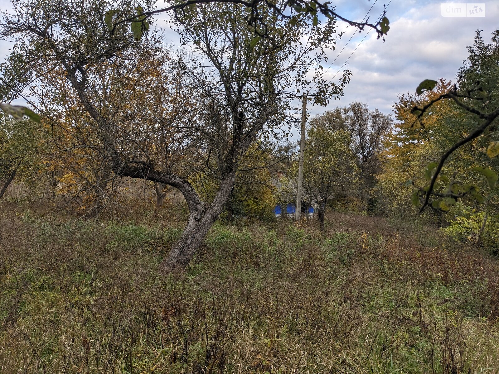 одноэтажный дом, 40.1 кв. м, глинобитный. Продажа в Сельце фото 1