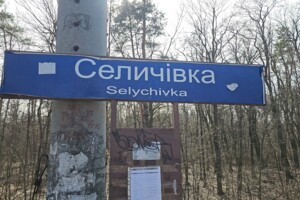 одноэтажный дом, 60 кв. м, дерево и кирпич. Продажа в Селичовке фото 2