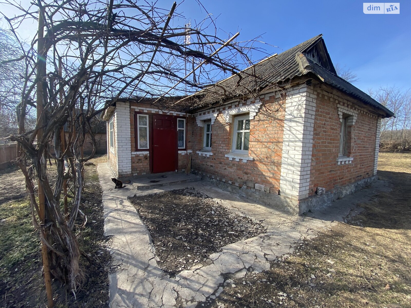 одноповерховий будинок, 44 кв. м, цегла. Продаж у Селищі фото 1