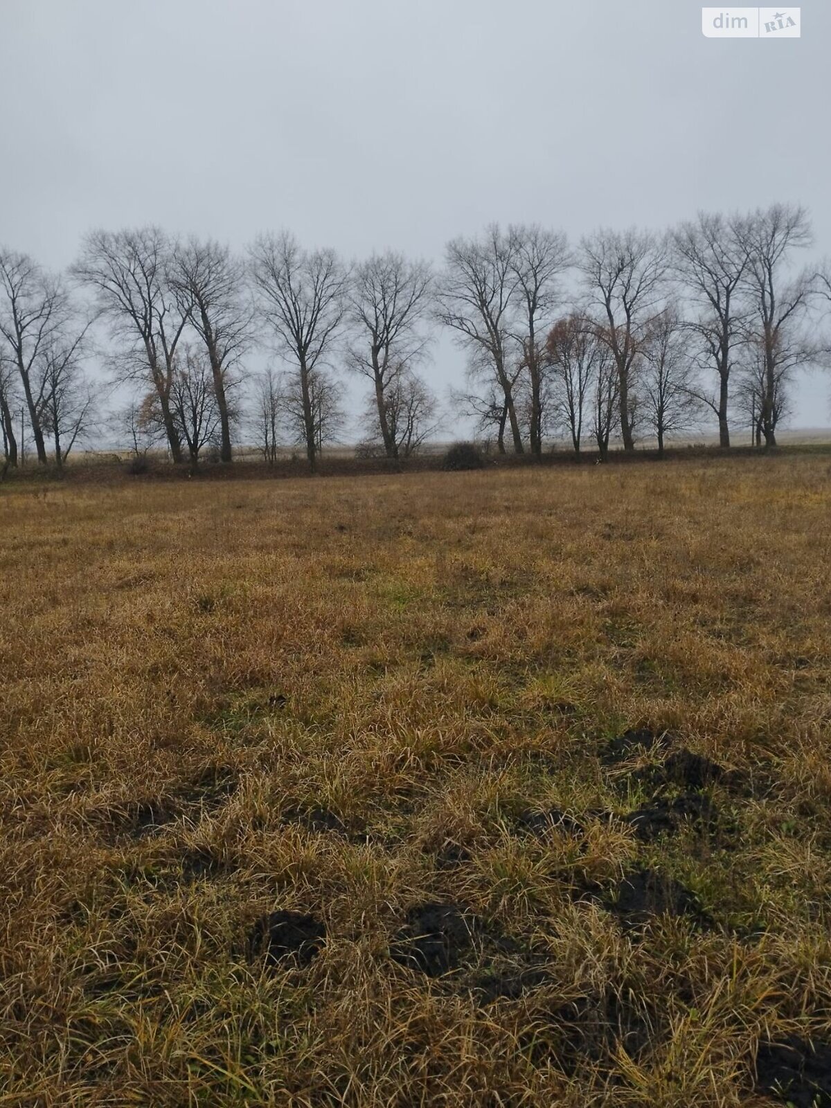 одноэтажный дом с гаражом, 100 кв. м, кирпич. Продажа в Семаках фото 1 одноэтажный дом с гаражом, 100 кв. м, кирпич. Продажа в Семаках фото 1