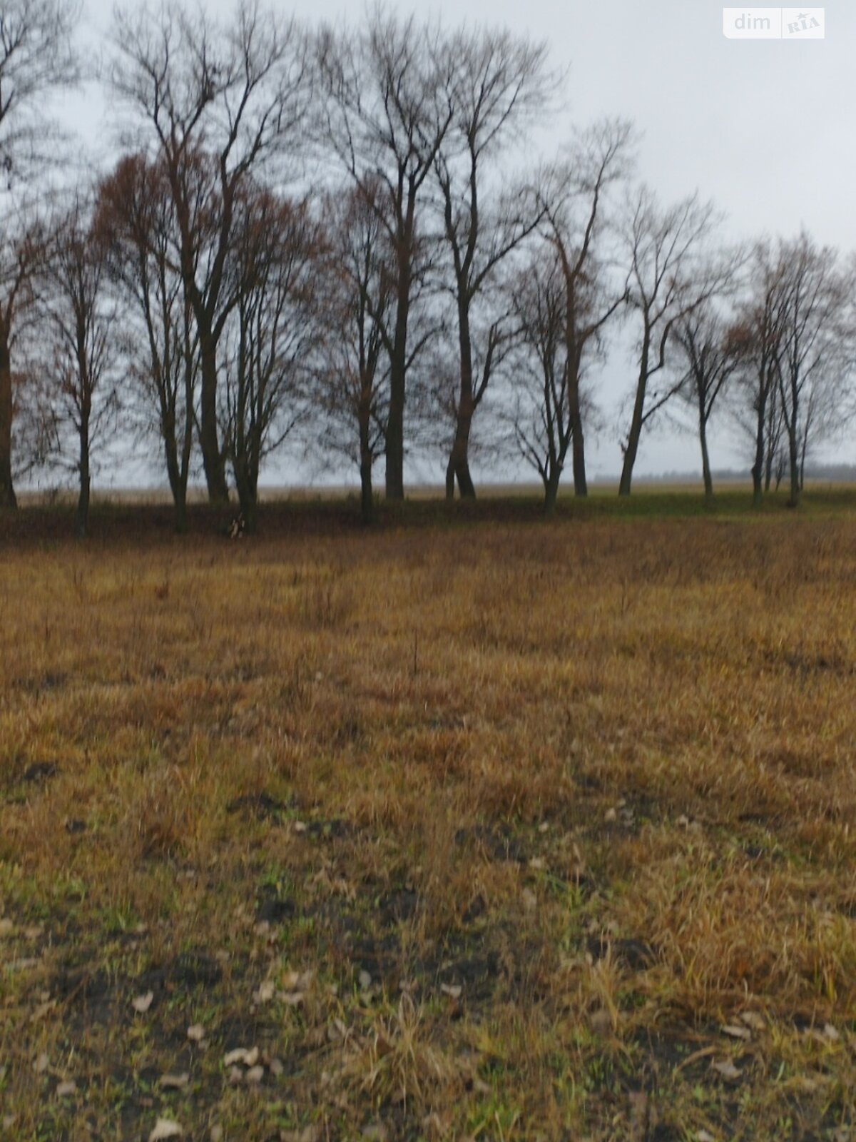 одноэтажный дом с гаражом, 100 кв. м, кирпич. Продажа в Семаках фото 1 одноэтажный дом с гаражом, 100 кв. м, кирпич. Продажа в Семаках фото 1