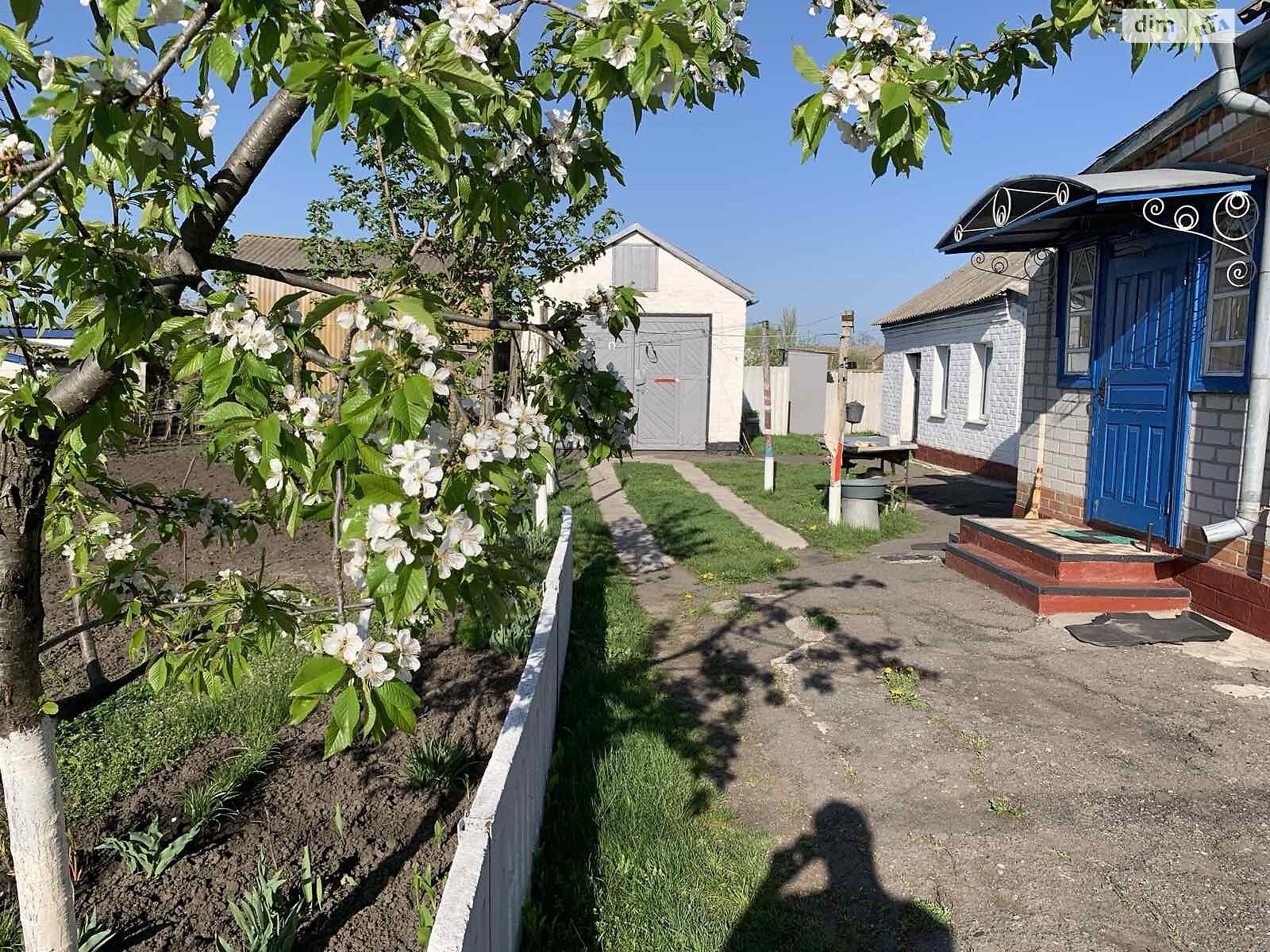 одноповерховий будинок з гаражем, 58 кв. м, цегла. Продаж у Семенівці фото 1 одноповерховий будинок з гаражем, 58 кв. м, цегла. Продаж у Семенівці фото 1