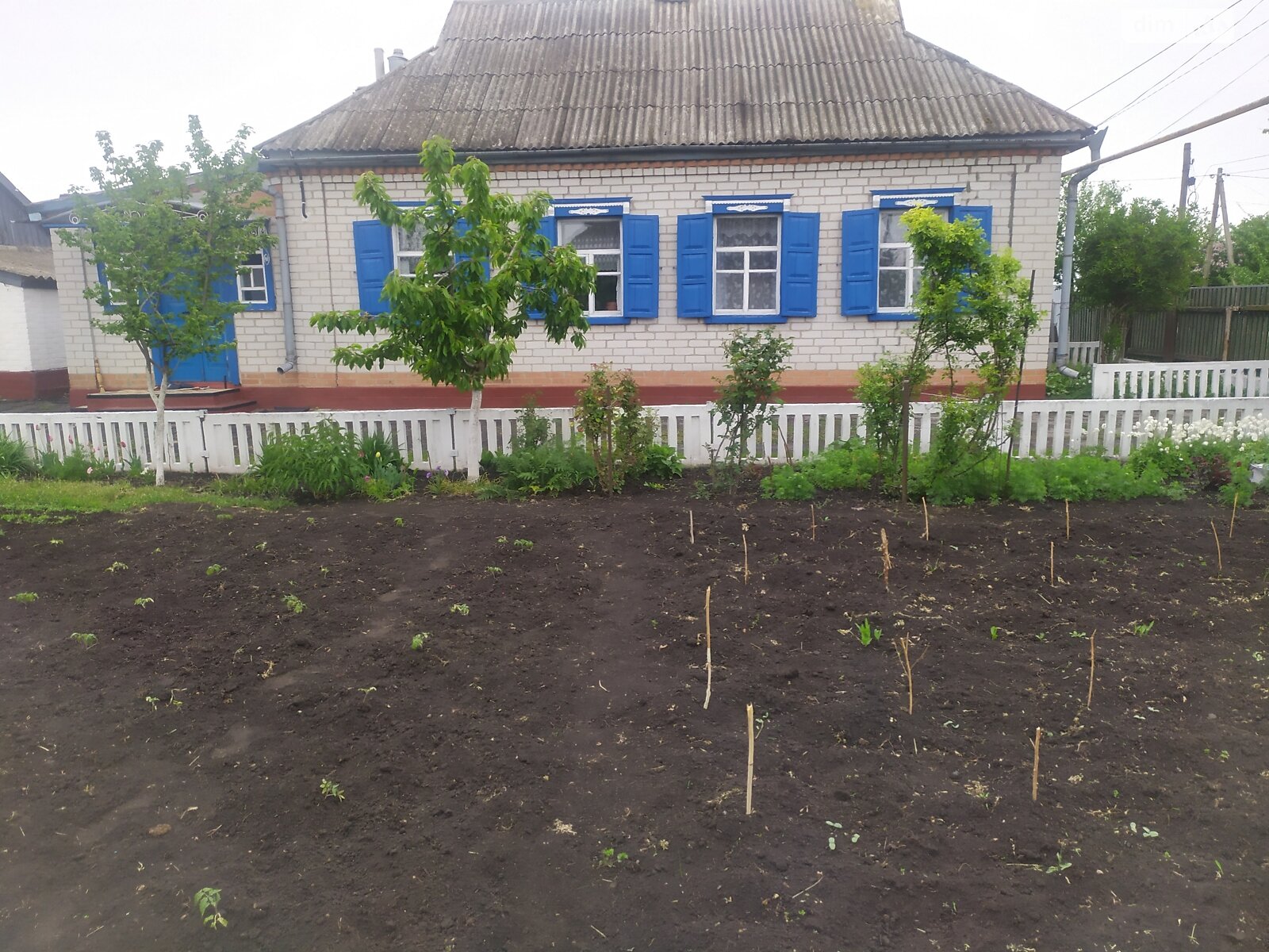 одноповерховий будинок з гаражем, 58 кв. м, цегла. Продаж у Семенівці фото 1 одноповерховий будинок з гаражем, 58 кв. м, цегла. Продаж у Семенівці фото 1