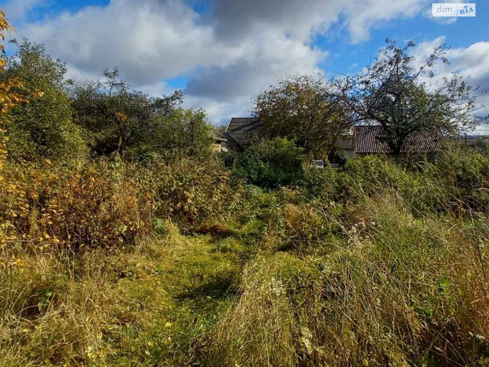 одноповерховий будинок, 86.6 кв. м, цегла. Продаж у Семенівці фото 1