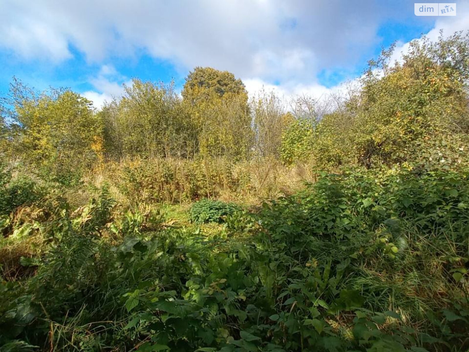 одноповерховий будинок, 86.6 кв. м, цегла. Продаж у Семенівці фото 1