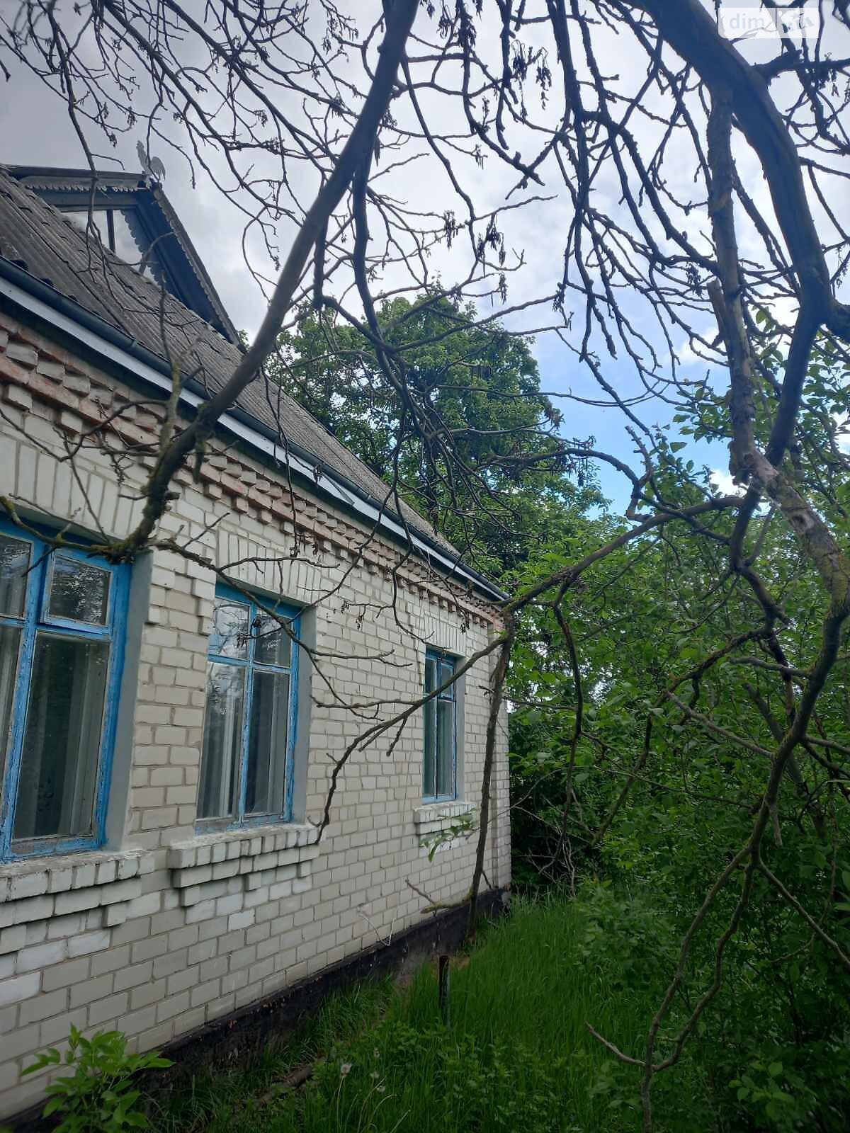 одноповерховий будинок з опаленням, 93.1 кв. м, ракушняк. Продаж у Сеньківці фото 1 одноповерховий будинок з опаленням, 93.1 кв. м, ракушняк. Продаж у Сеньківці фото 1