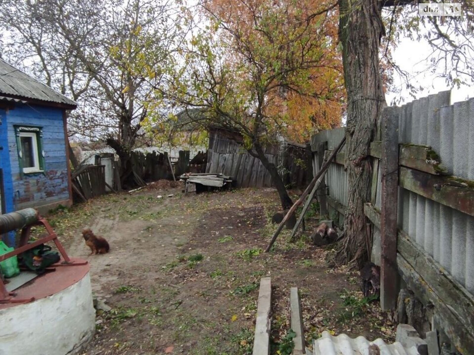 одноповерховий будинок, 40 кв. м, зруб. Продаж у Сеньківці фото 1 одноповерховий будинок, 40 кв. м, зруб. Продаж у Сеньківці фото 1