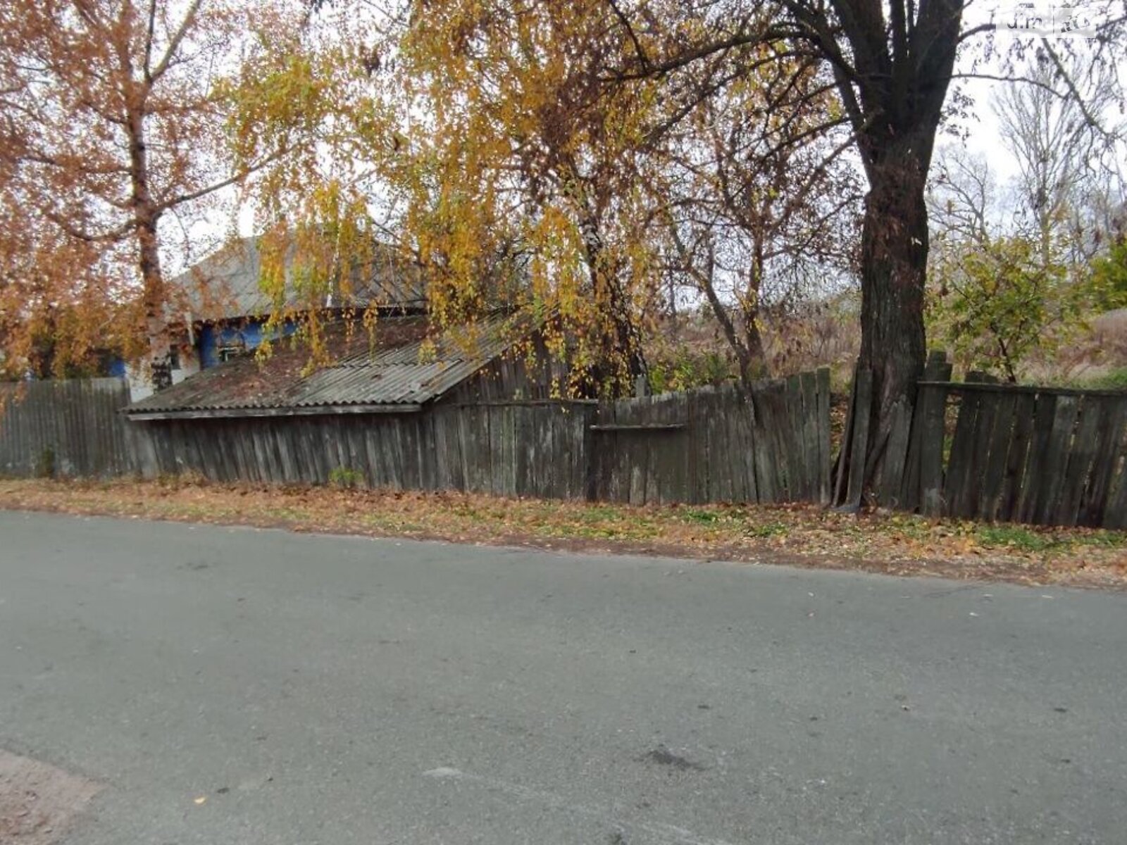 одноповерховий будинок, 40 кв. м, зруб. Продаж у Сеньківці фото 1 одноповерховий будинок, 40 кв. м, зруб. Продаж у Сеньківці фото 1